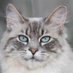 Janet Johnson (@janetjo29141626) Twitter profile photo Janet Johnson (@janetjo29141626) Twitter profile photo