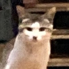 ゆーかりさんのプロフィール画像