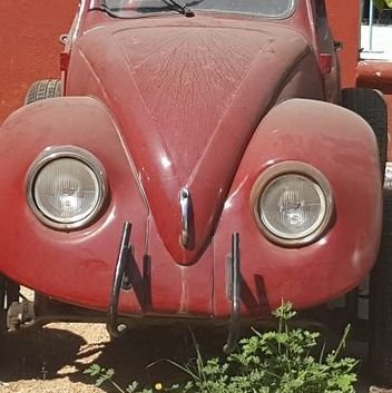 magagne01's profile picture. 