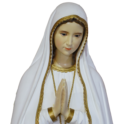 saferoad815's profile picture. 