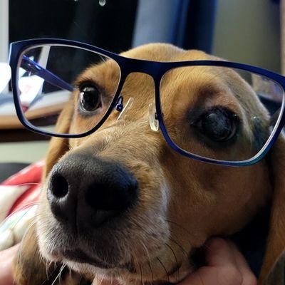 grlfrnd6684's profile picture. A nomad from the South settling in Iowa.