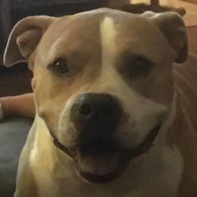 HalfDome12's profile picture. 