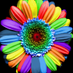 Julia S (@ladyjane_68) Twitter profile photo Julia S (@ladyjane_68) Twitter profile photo