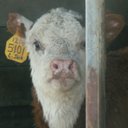 Bobbi Dunn - @BobbiDu91243492 - Twitter