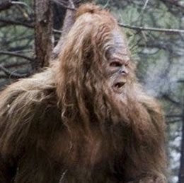 WillsBigfoot Profile Picture