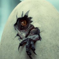 Jdkellymc (@edwardsmatyus) 's Twitter Profile
