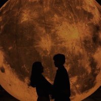 ❤️wed❤️ (@mwdy702698321) Twitter profile photo