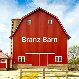 Hello and welcome!! I hope you are doing well in spirit and in health!! Please take the time to check out my business website(s)! Many blessings, Branz Barn