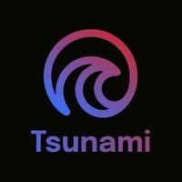 Tsunami 🌊 | We’re Hiring!(@Tsunamifund_) 's Twitter Profile Photo
