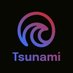 Tsunami 🌊 | We’re Hiring! (@Tsunamifund_) Twitter profile photo