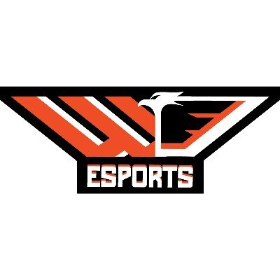 The West Delaware Esports team. established in the Fall of 2019, Spring 2020 was our first competitive season.
