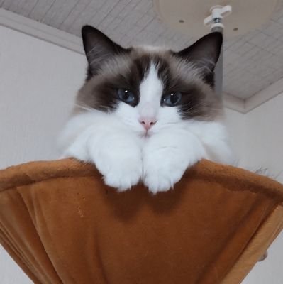 のあ❦さんのプロフィール画像