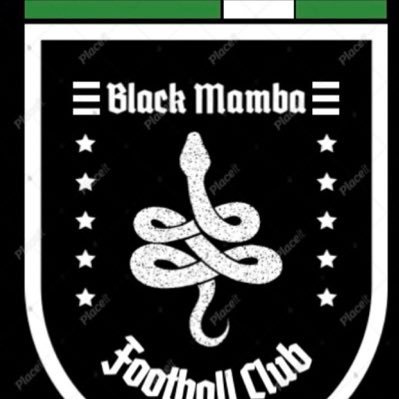 Black Mamba FC