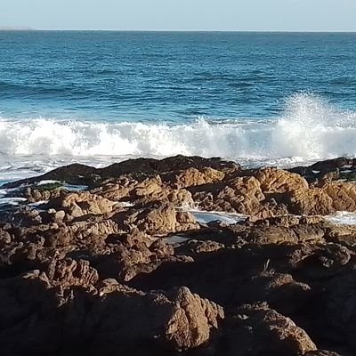 snicolasuy's profile picture. Mutando