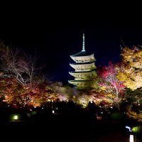 hiroteruko (@hiroterumiyu) 's Twitter Profile