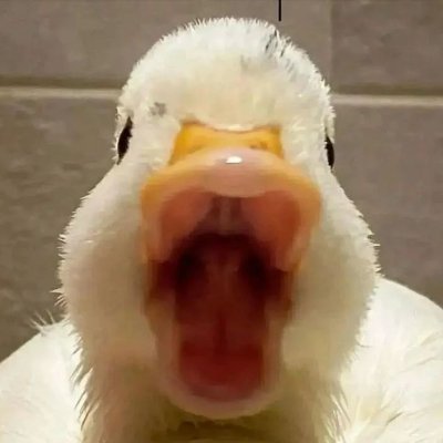 ウワアー‼さんのプロフィール画像