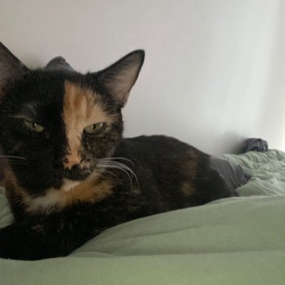 iDigsCupcakes's profile picture. Poet, Free Spirit, Human.