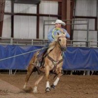 pete reinert (@reinert_pete) 's Twitter Profile