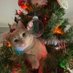 Kate Cat (@katykatecat72) Twitter profile photo Kate Cat (@katykatecat72) Twitter profile photo