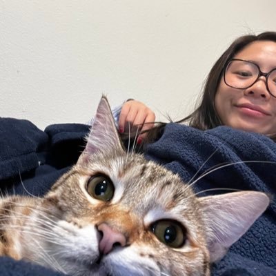 babyxcar's profile picture. not my cat