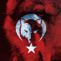 Anıl ÖZÜTÜRK(@anilozuturk) 's Twitter Profile Photo