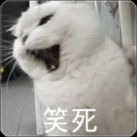 unique (@whatevertosee) 's Twitter Profile