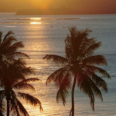 springg01824544's profile picture.