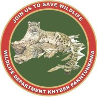 Wildlife Department KP (@wildlifekpgovt) 's Twitter Profile