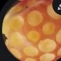 Unknown Error (@gamerfortynine) 's Twitter Profile Photo Unknown Error (@gamerfortynine) 's Twitter Profile Photo