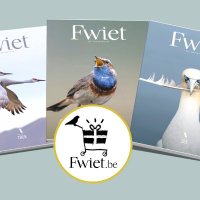 Fwiet (@fwietmagazine) 's Twitter Profile Photo