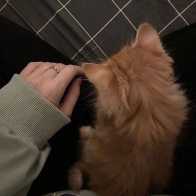احبك كثر ما صُوتك يطمن قلبي 🫶🏻