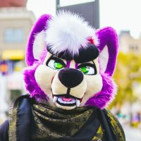 SKiPPY(@JWolfsky) 's Twitter Profile Photo