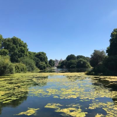 FisherMalte's profile picture. 