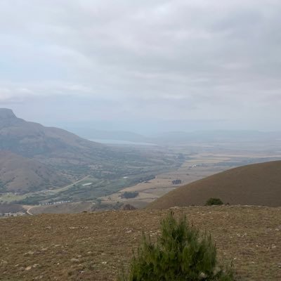 TreasureRackham's profile picture. 