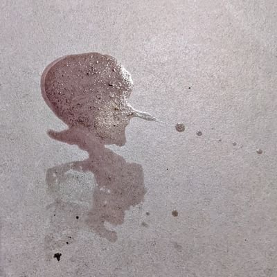 WJ08248120's profile picture. 