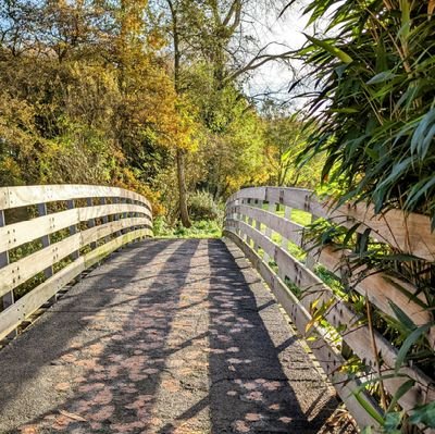 oscarmonster3's profile picture. 