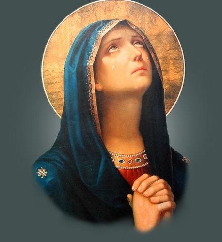 pcm23's profile picture. Catholic wife and mother. Self employed.