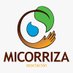 Asociacion Micorriza (@A_Micorriza) Twitter profile photo
