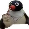 Pingu_pugnace Profile Picture