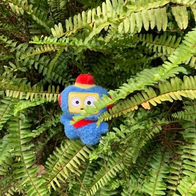 hikun little adventure (@dailyhikun) / X hikun little adventure (@dailyhikun) / X