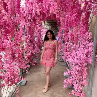 Purvi Shah (@purvishah21) 's Twitter Profile