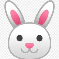 🐰(@Th3Wh1t3R4881t) 's Twitter Profile Photo