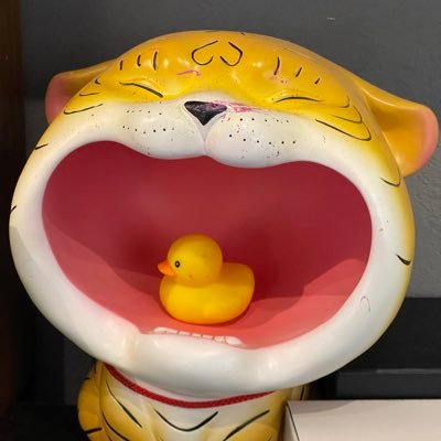 Rotasssssss's profile picture. 