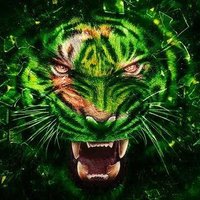 Tiger of PK(@Tiger_PK9) 's Twitter Profile Photo