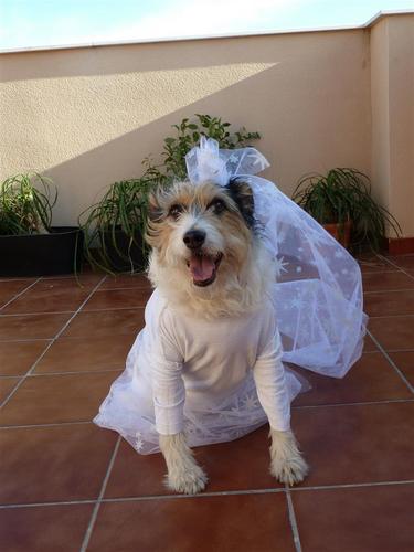 marangelesram's profile picture. 