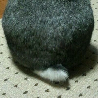 固定みて@10/17(金)〜19(日)中板橋新生館スタジオさんのプロフィール画像
