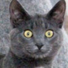 EmilyCalenda's profile picture. 