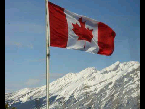 drea_christie's profile picture. Accountant and self confessed business geek. Life long learner, lover of books live music and sports. Follow Arsenal, Gary Anderson and the Toronto Maple Leafs.