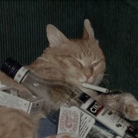 Durnelelis π (@pavasariosesely) 's Twitter Profile
