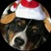Ant (@antfireboy) Twitter profile photo Ant (@antfireboy) Twitter profile photo